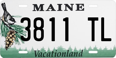 ME license plate 3811TL