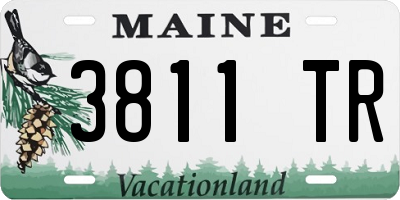 ME license plate 3811TR