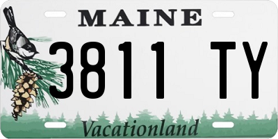 ME license plate 3811TY