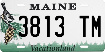 ME license plate 3813TM