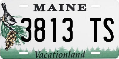 ME license plate 3813TS