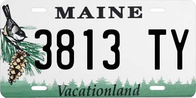 ME license plate 3813TY