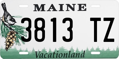 ME license plate 3813TZ