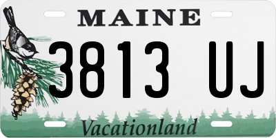 ME license plate 3813UJ