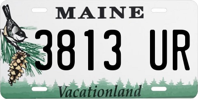 ME license plate 3813UR