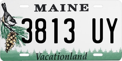 ME license plate 3813UY