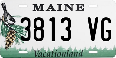 ME license plate 3813VG