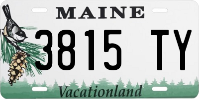 ME license plate 3815TY