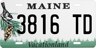 ME license plate 3816TD