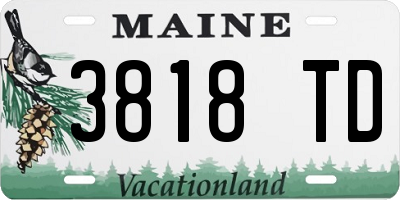 ME license plate 3818TD