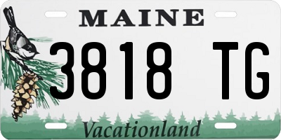 ME license plate 3818TG