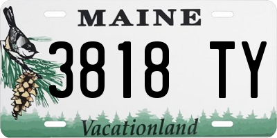 ME license plate 3818TY