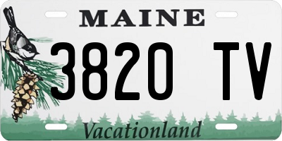 ME license plate 3820TV