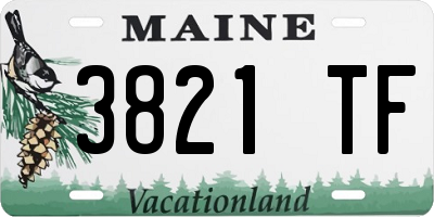 ME license plate 3821TF