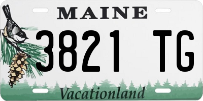 ME license plate 3821TG