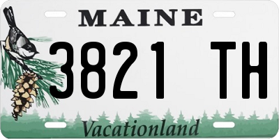 ME license plate 3821TH