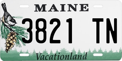 ME license plate 3821TN