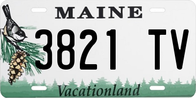 ME license plate 3821TV