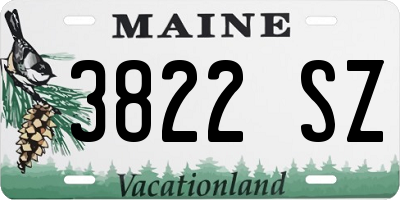 ME license plate 3822SZ