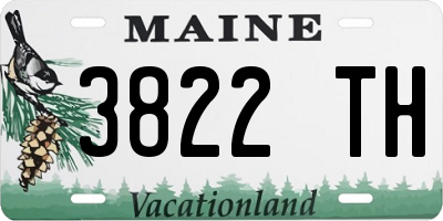 ME license plate 3822TH