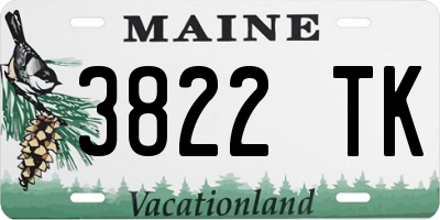ME license plate 3822TK