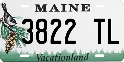 ME license plate 3822TL
