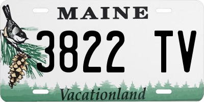 ME license plate 3822TV
