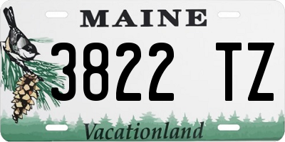 ME license plate 3822TZ