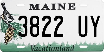 ME license plate 3822UY