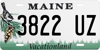 ME license plate 3822UZ