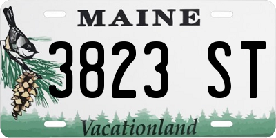 ME license plate 3823ST