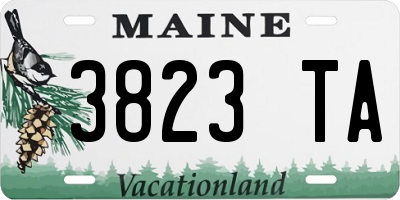 ME license plate 3823TA