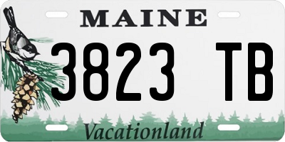 ME license plate 3823TB
