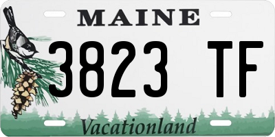 ME license plate 3823TF