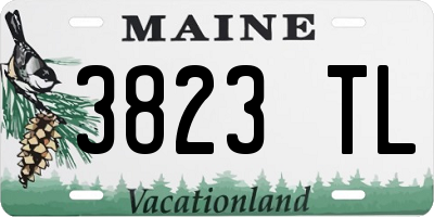 ME license plate 3823TL