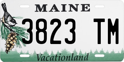 ME license plate 3823TM