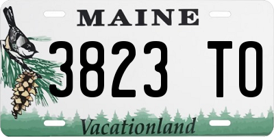 ME license plate 3823TO