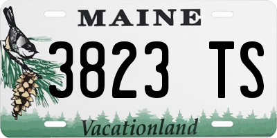 ME license plate 3823TS