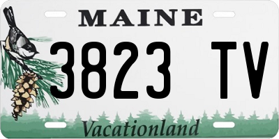 ME license plate 3823TV