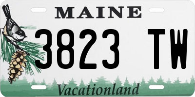 ME license plate 3823TW