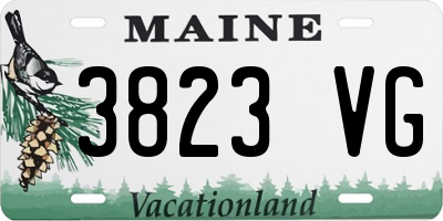 ME license plate 3823VG