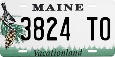ME license plate 3824TO