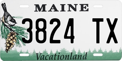 ME license plate 3824TX