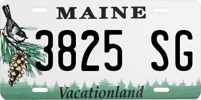 ME license plate 3825SG