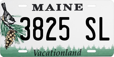 ME license plate 3825SL