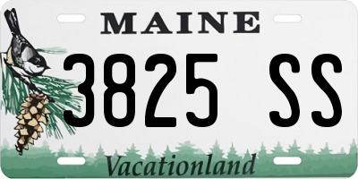 ME license plate 3825SS