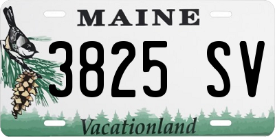ME license plate 3825SV
