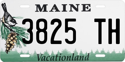 ME license plate 3825TH