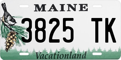 ME license plate 3825TK
