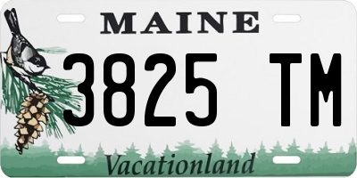 ME license plate 3825TM